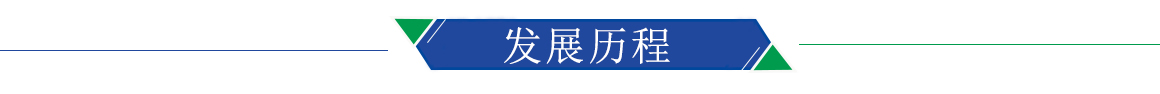 發展歷程 發展歷程